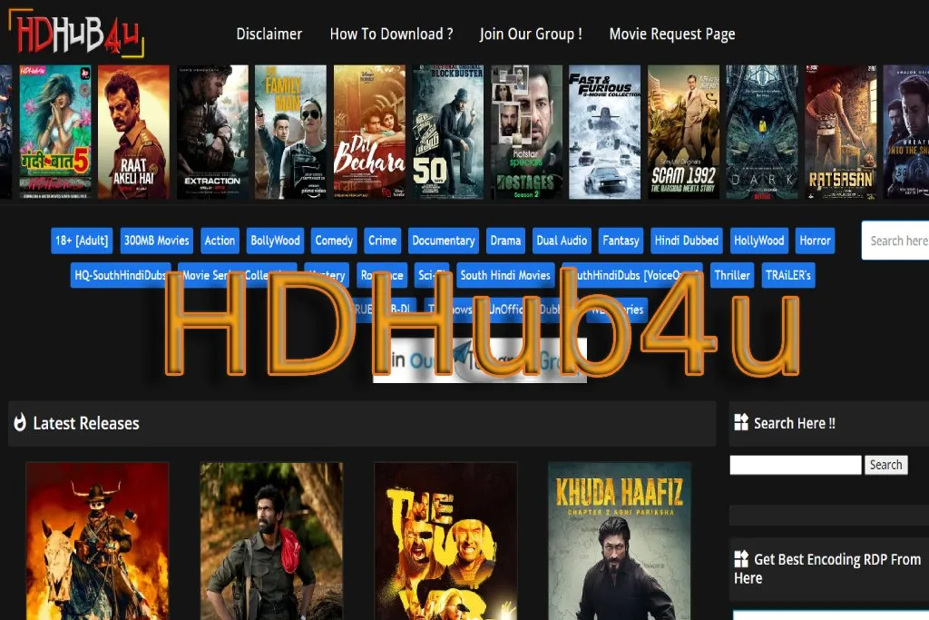 User browsing high-definition content on hd hub.